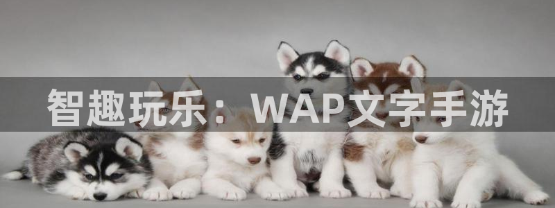 V8娱乐网：智趣玩乐：WAP文字手游