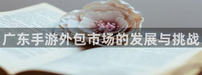 V8娱乐注册：广东手游外包市场的发展与挑战