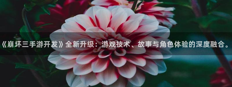 V8娱乐登录：《崩坏三手游开发》全新升级：游戏技术、故事与角