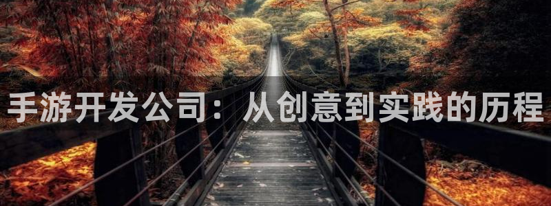 V8娱乐：手游开发公司：从创意到实践的历程