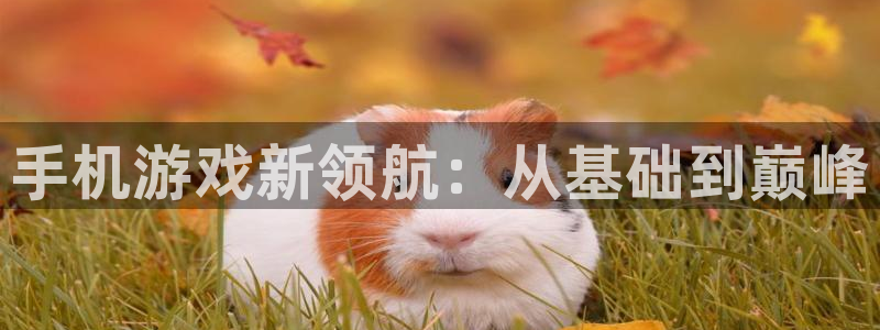 V8娱乐平台：手机游戏新领航：从基础到巅峰