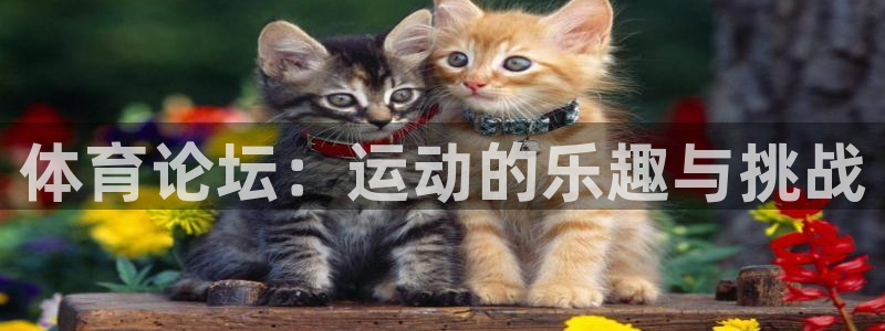 k1体育平台3915：体育论坛：运动的乐趣与挑战