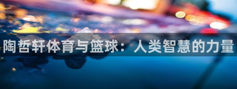 k1体育十年登录入口：陶哲轩体育与篮球：人类智慧的力量