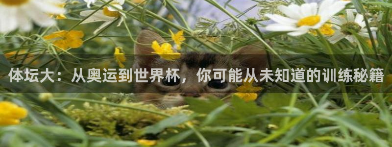 k1体育app下载：体坛大：从奥运到世界杯，你可能从未知道的训练秘籍