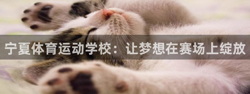 k1体育平台3915：宁夏体育运动学校：让梦想在赛场上绽放