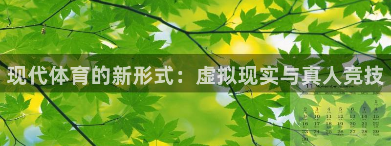 k1体育娱乐：现代体育的新形式：虚拟现实与真人竞技